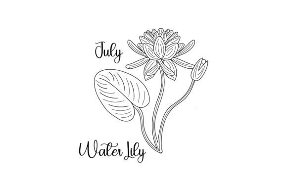 July Water Lily Line Art Embroidery Review