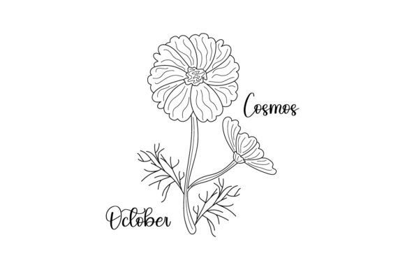 Review: October Cosmos Line Art Embroidery